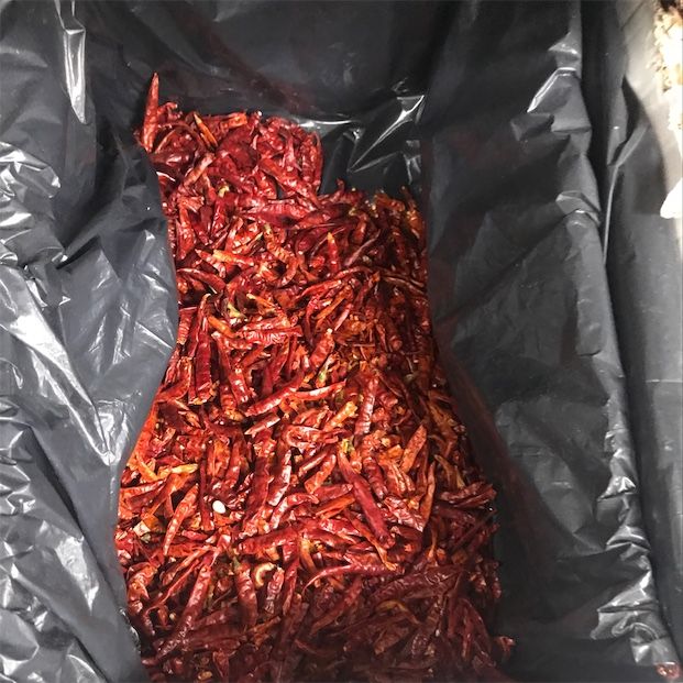 Dried Arbre Xile Peppers