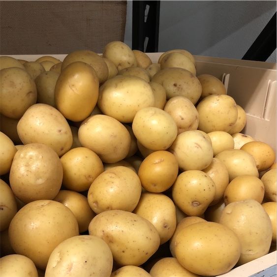 Jukonas zelta kartupeļi
