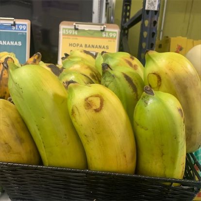 Hopa bananai
