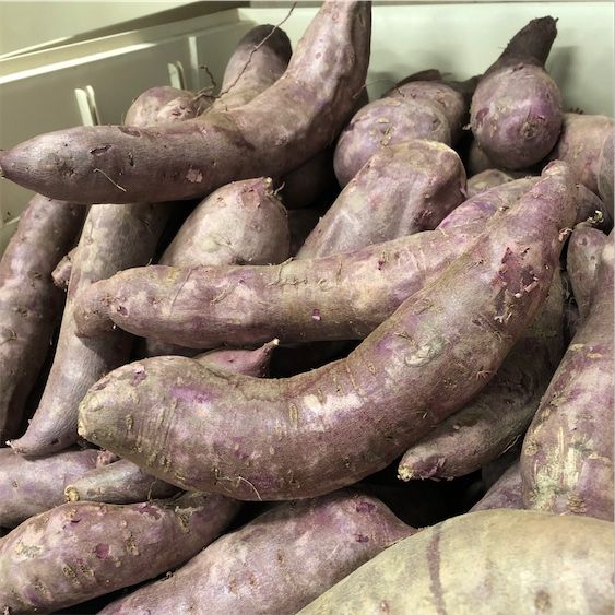 Violets japāņu saldais kartupelis