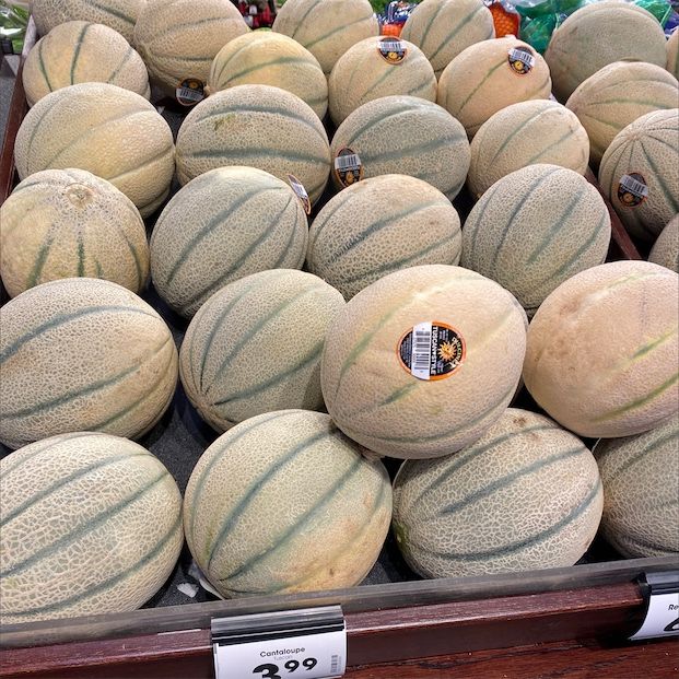 Melone Melone
