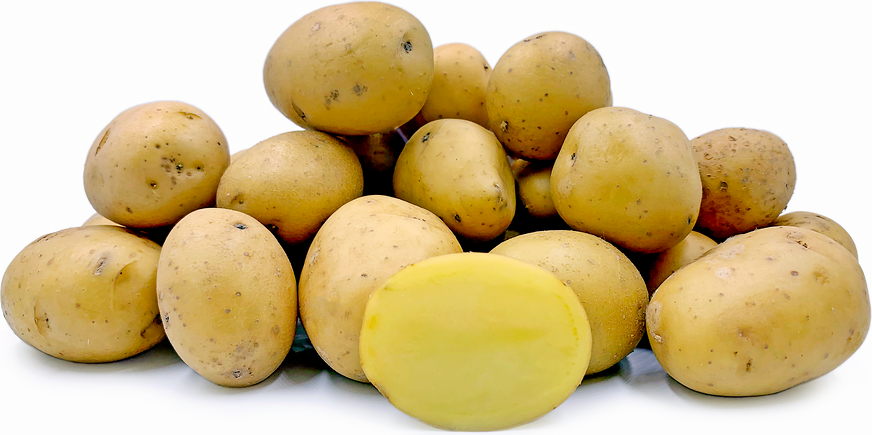 Batatas marilyn