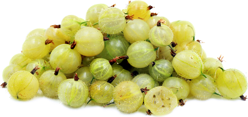 Зелено цариградско грозде