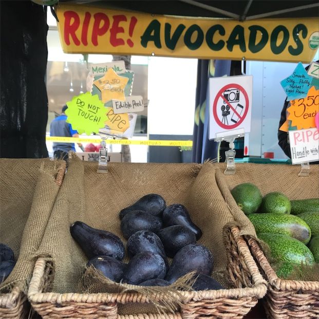 Mexico Grande Avocados