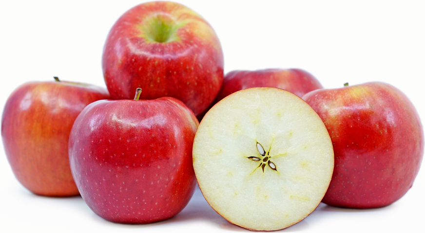 תפוחים של SnapDragon