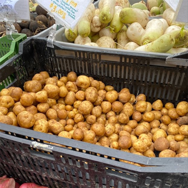 Finské brambory