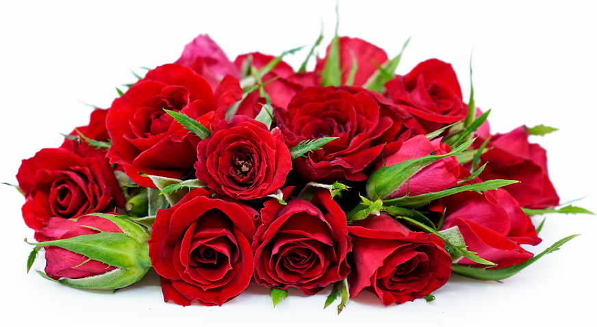 Цветя Роза Малка червена корвета