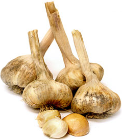 Ranxo Gran Garlic