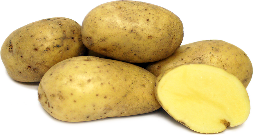 Carola Potatoes