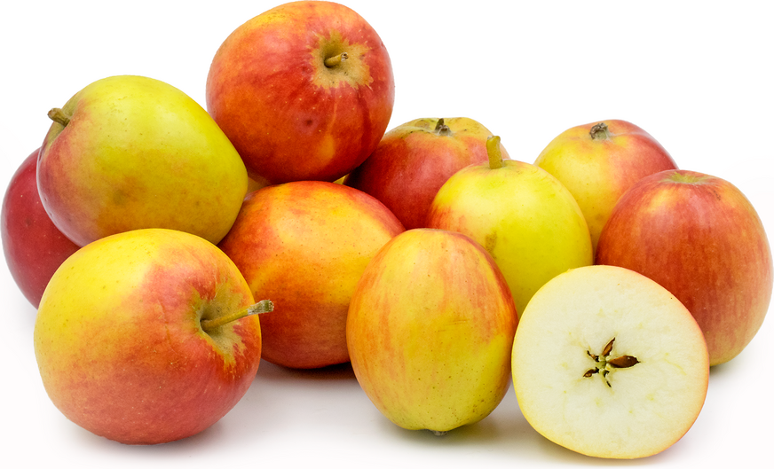 תפוח עץ אלון (של טיילור) תפוחים