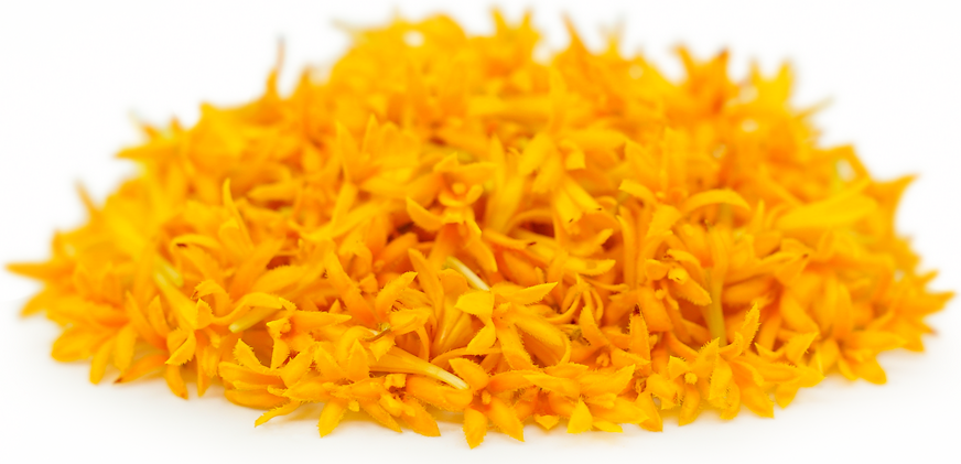 Bunga Mikro Marigold Floret ™