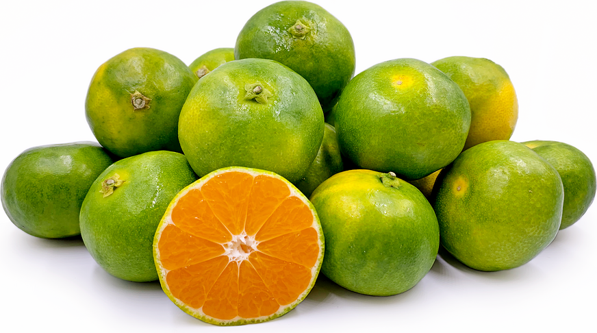 Mijagavas mandarīnu apelsīni