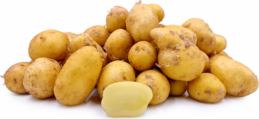 Ile De Re Kartoffeln