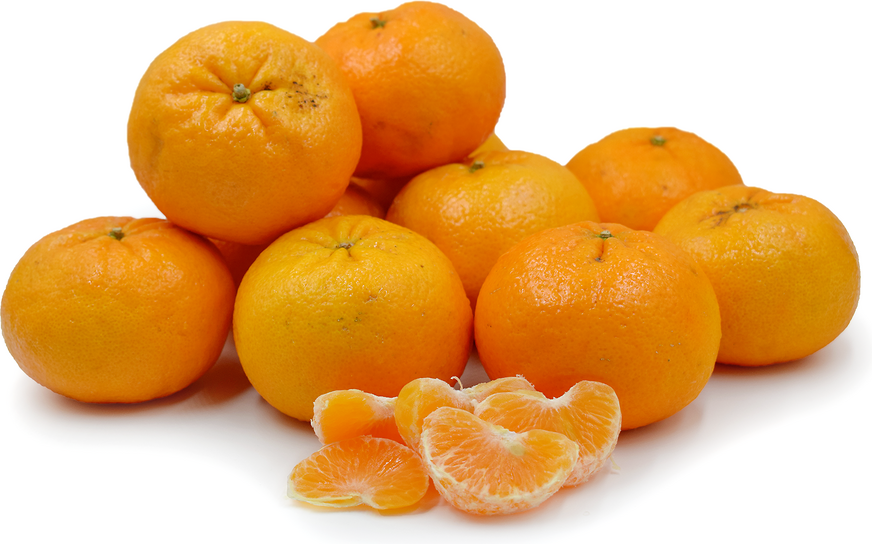 Mandarine Oroval Clementine