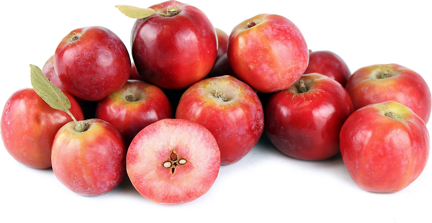 Punainen suonirapu-omena