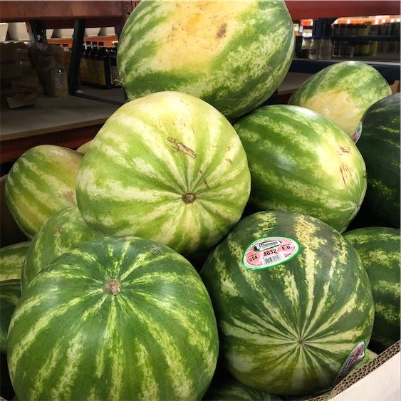 Samenlose Wassermelone