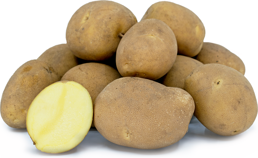 Pommes de terre Sierra Gold