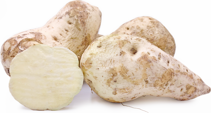 Westafrikanische Süßkartoffeln