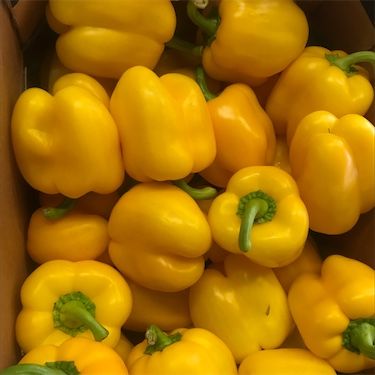 Velké žluté papriky