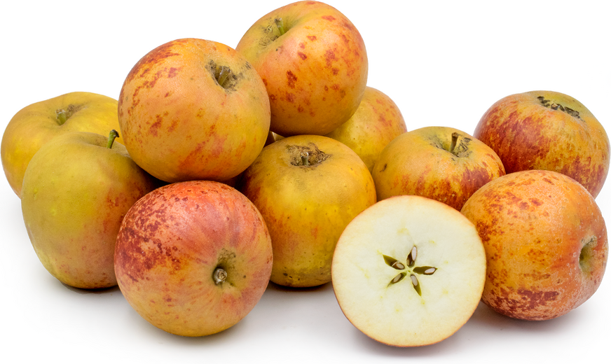 Ябълки от кралски русет в Норфолк