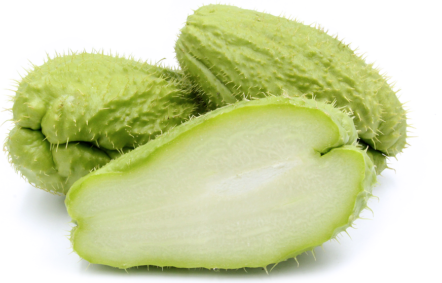 Courge chayote de Barbarie