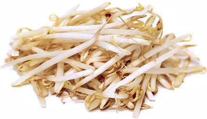 Bean Sprouts Mung