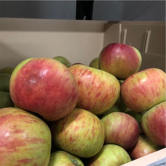 Coxove narančaste jabuke