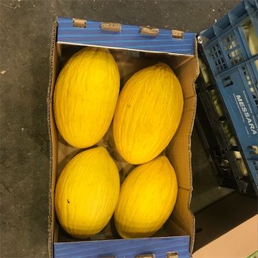 Goldene Honigtau-Melone