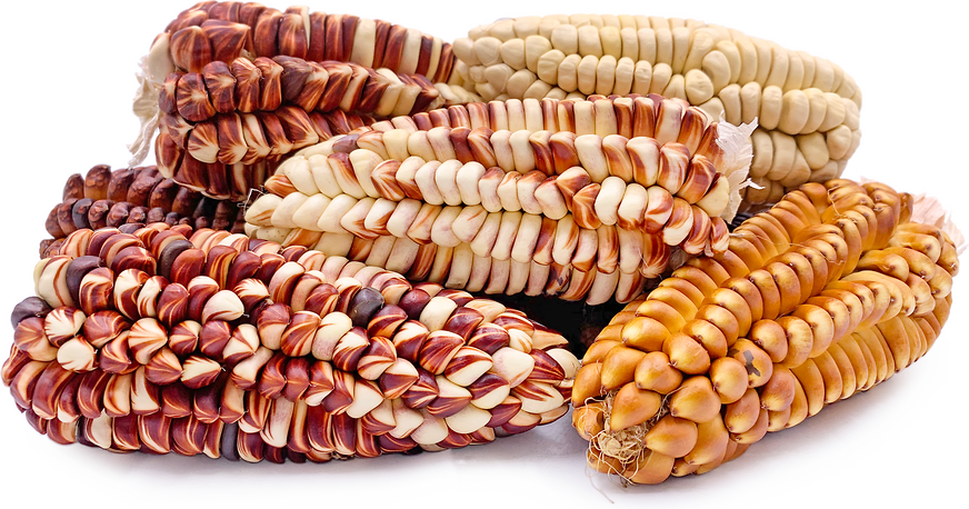 Обојена перуанска кукуруз