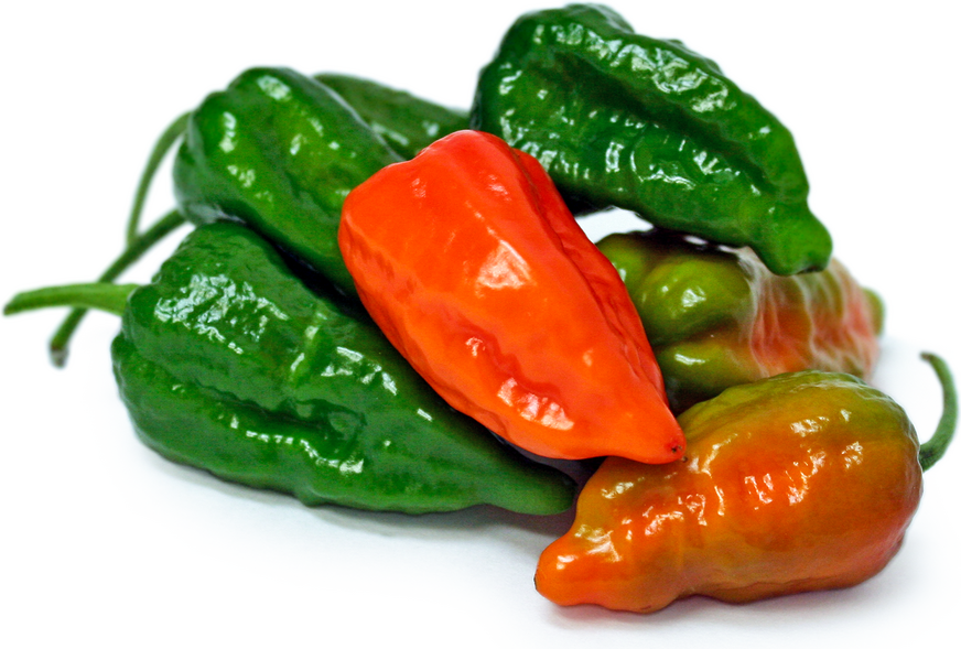 Zelený chilli papričky