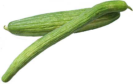 Armeense komkommers
