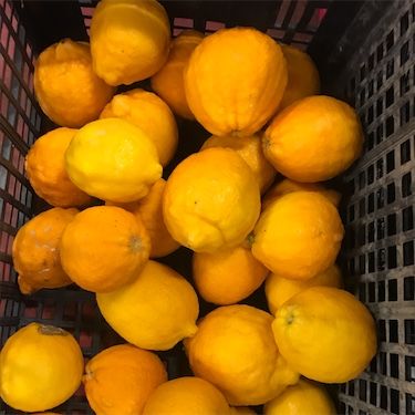 Bergamot sinaasappelen