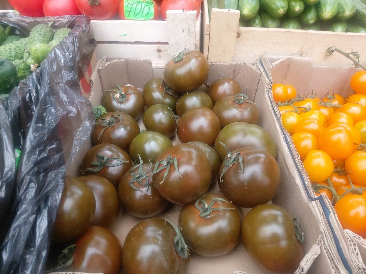 Juodojo princo paveldo pomidorai