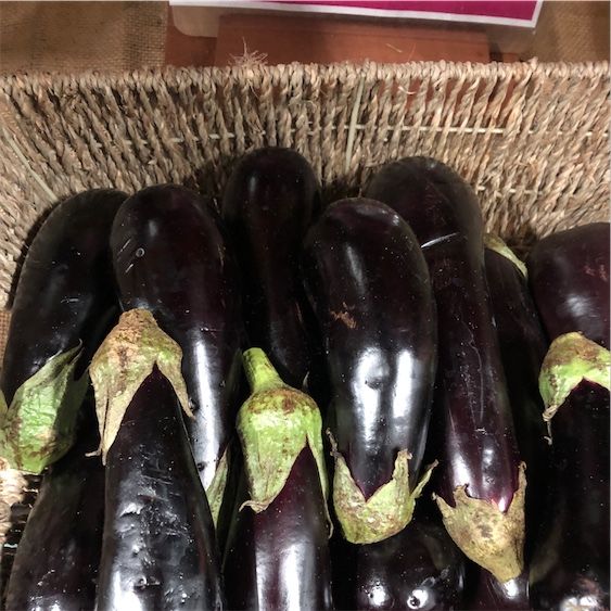 Italiensk aubergine