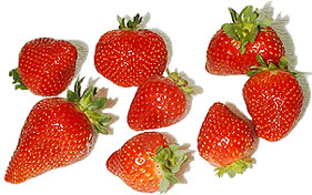 Neuseeländische Erdbeeren