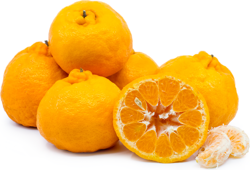 Pokanské mandarinky