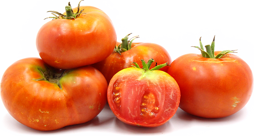 Jersey Boy Tomatoes