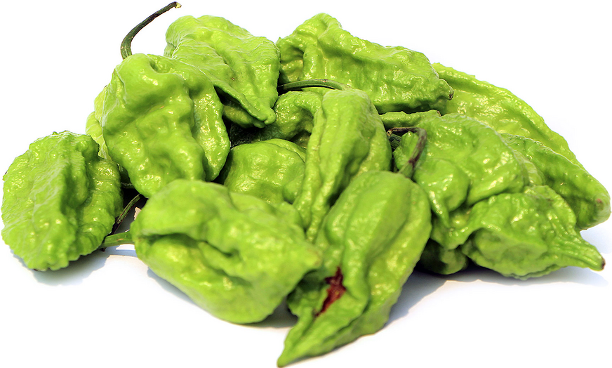 Raja Mirchi Chile Peppers