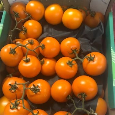 На лозовите портокалови домати