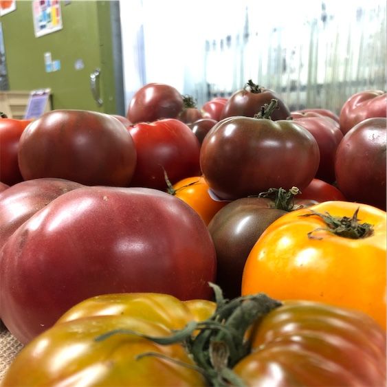 Чероки лилаво наследство домати