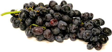 Raisins noirs royaux d'automne