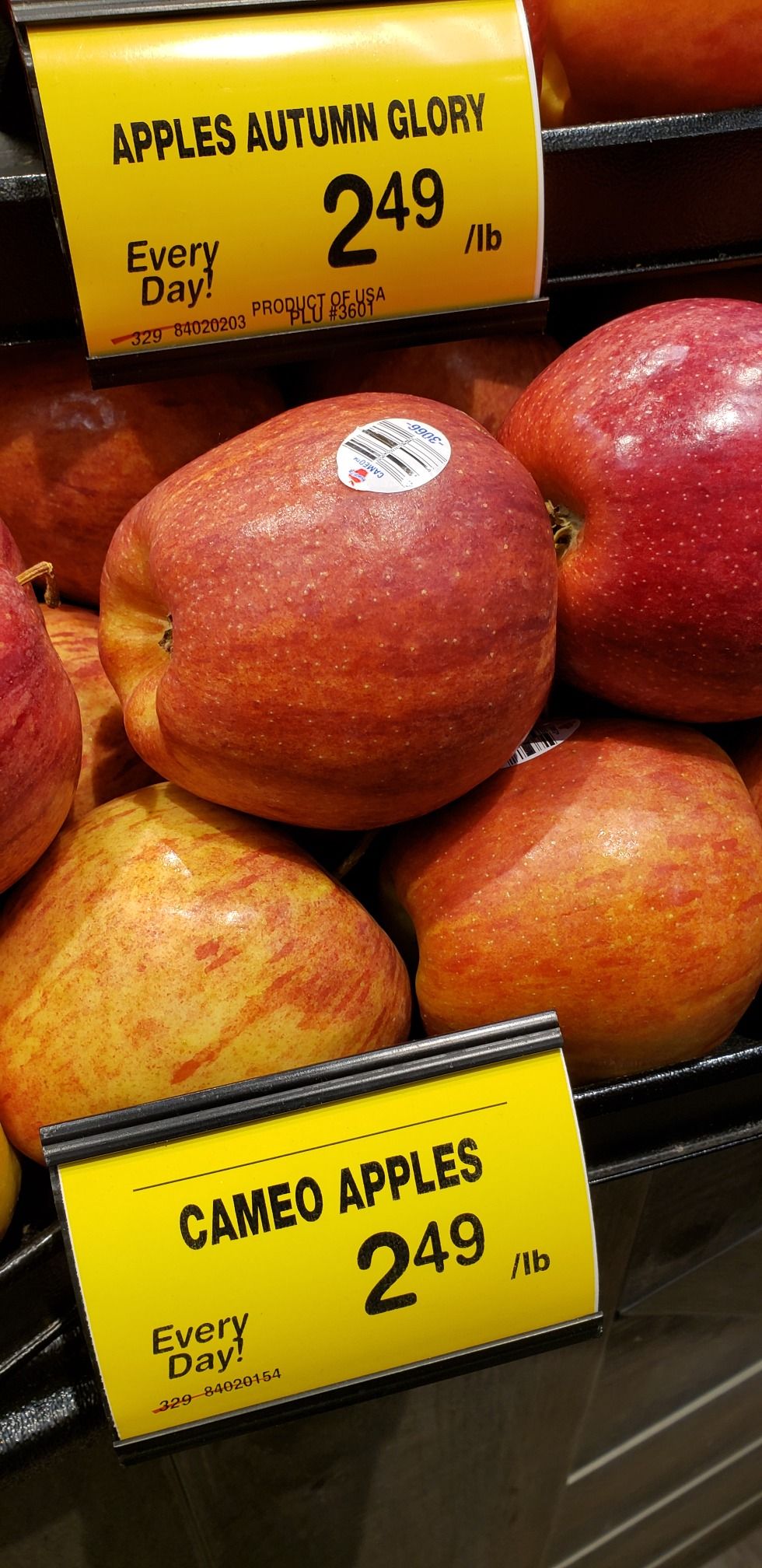 bikák szív puding alma egészség pangásos szívelégtelenség