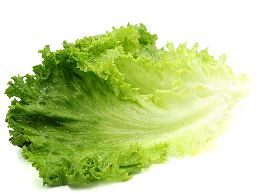 Zelený listový salát Filety