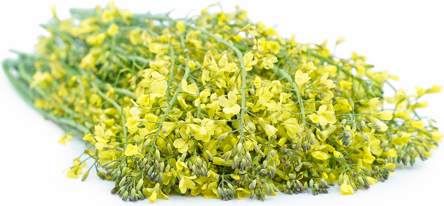 Broccolini blomster