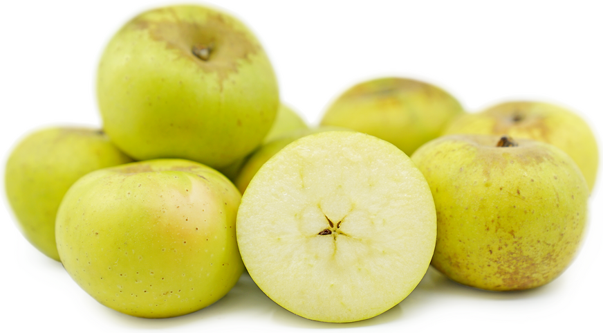 Roxbury Russet Apples