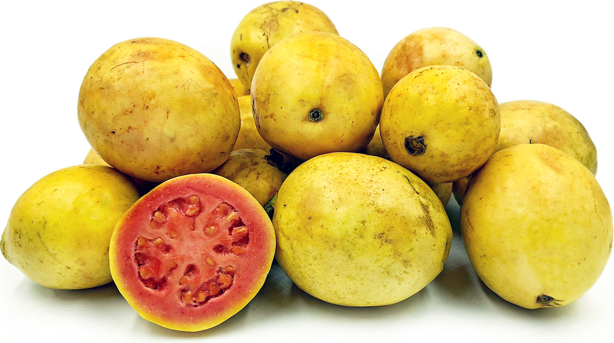 Tahitian Guavas