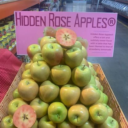 پوشیدہ گلاب سیب