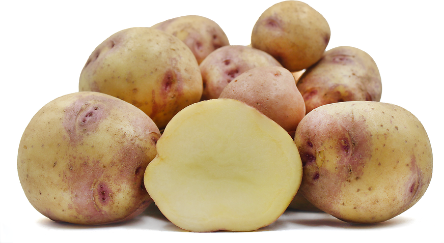 Kolumbijské brambory Nevada