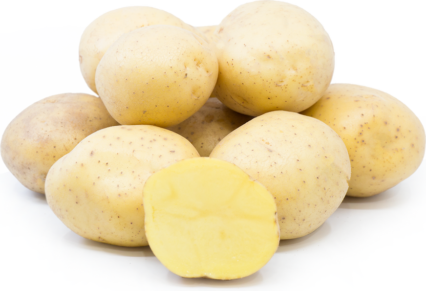 Organické bramborové Yukon zlato