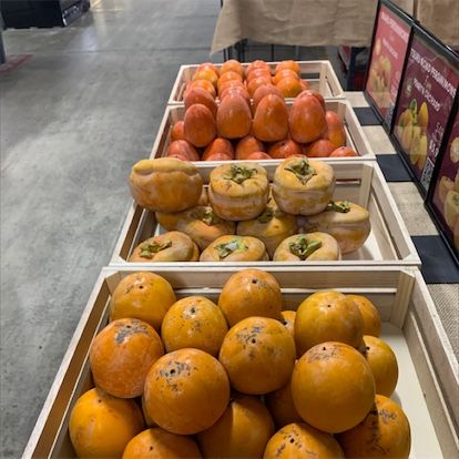 Hyakume persimmons